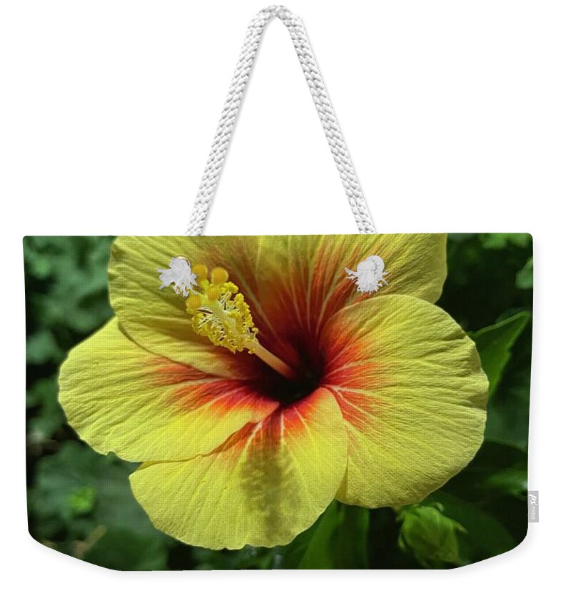 Hibiscus Weekender Tote Bag featuring the photograph Yellow and Red Hibiscus by Brian Eberly