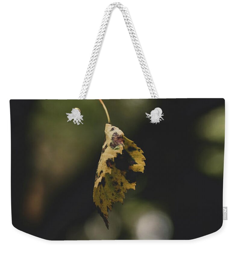 Abstract Weekender Tote Bag featuring the photograph Yellow Autumnal Leaf Suspended in midair by Scott Lyons