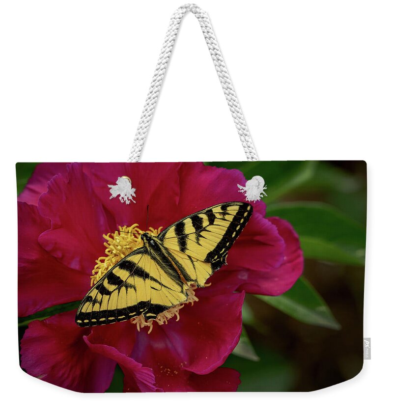 Butterfly Weekender Tote Bag featuring the photograph Yellow Butterfly on Red Flower by Phil Cardamone