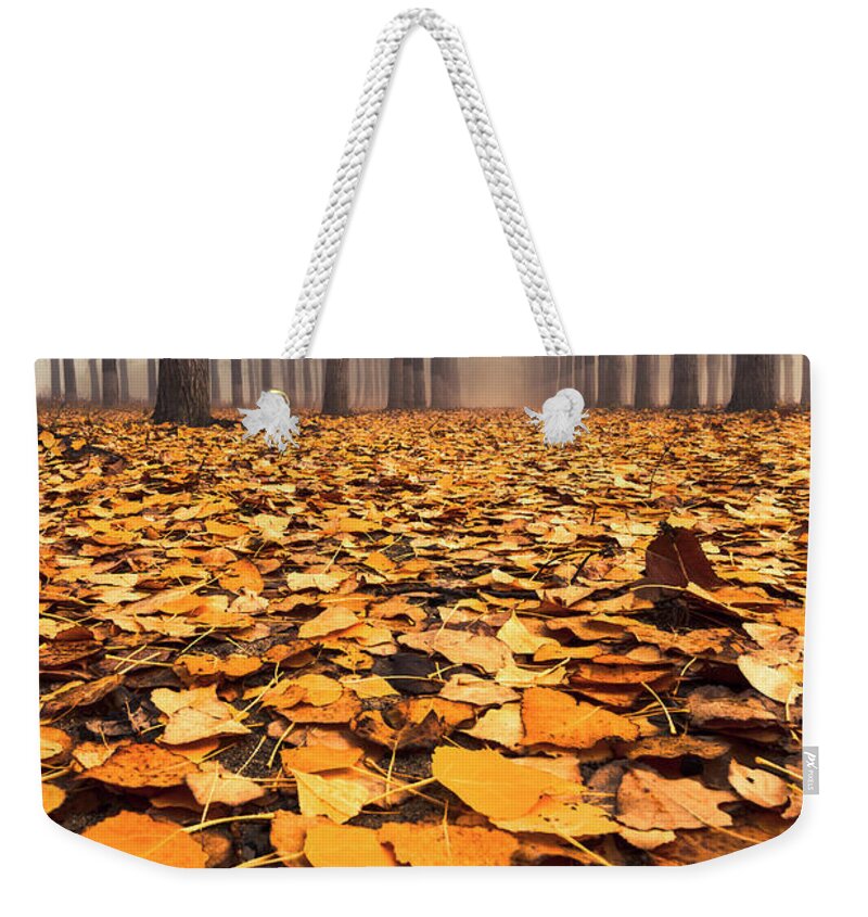 Bulgaria Weekender Tote Bag featuring the photograph Yellow Carpet by Evgeni Dinev