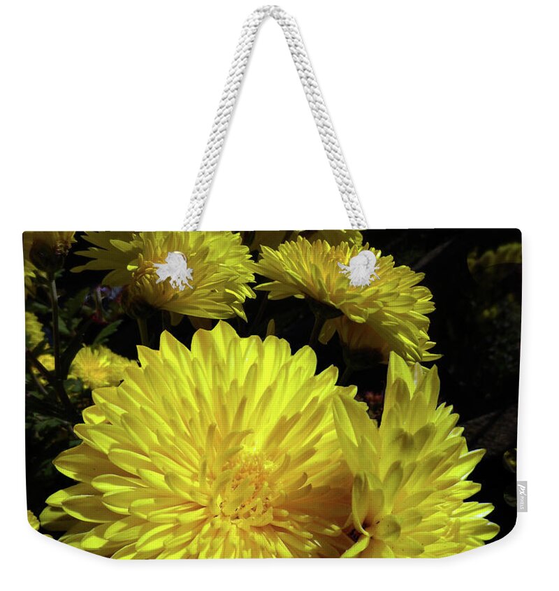 Chrysanthemums Weekender Tote Bag featuring the photograph Yellow Chrysanthemum by Klaus Jaritz