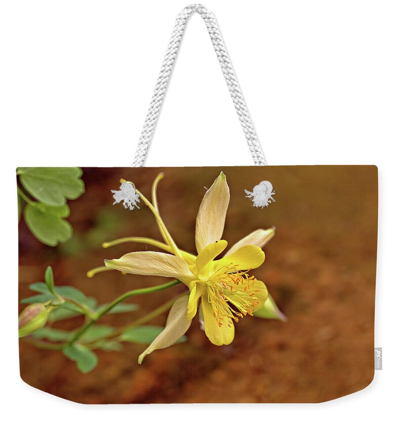 Flower Weekender Tote Bag featuring the photograph Yellow Columbine by Bob Falcone
