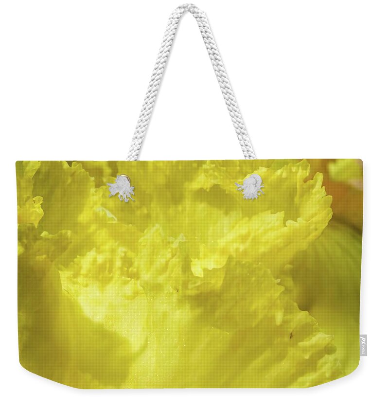Healing Weekender Tote Bag featuring the photograph Yellow curtains by David Coblitz