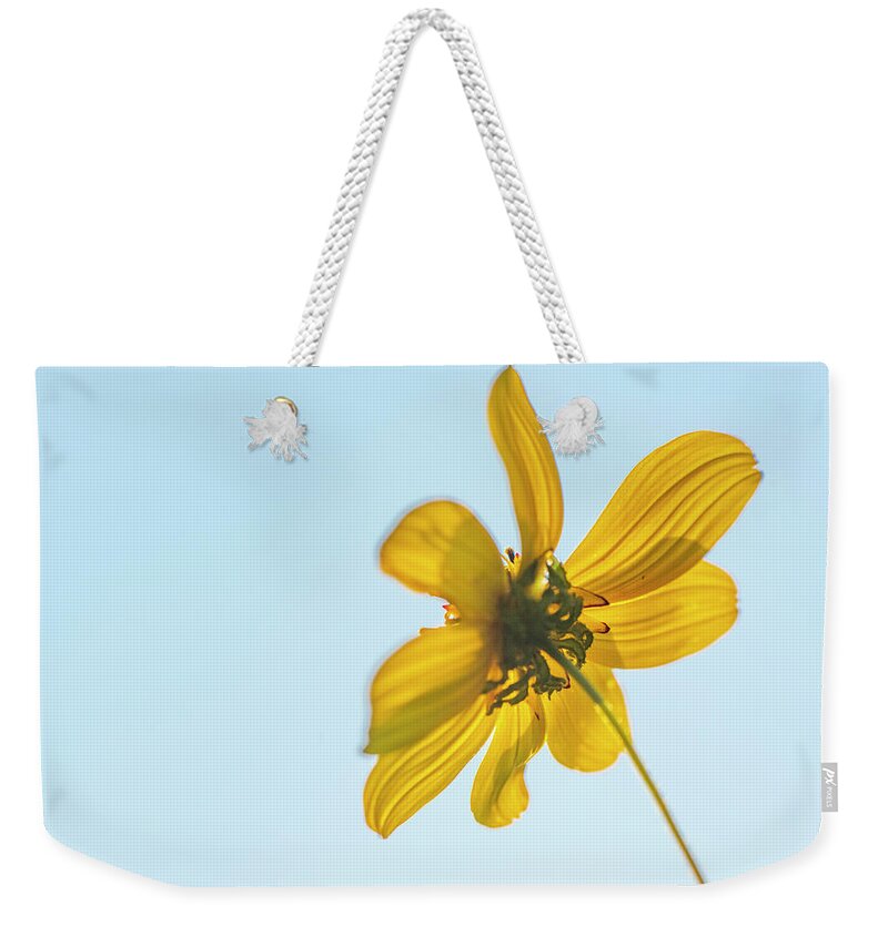 Daisy Weekender Tote Bag featuring the photograph Yellow Daisy And Sky by Karen Rispin