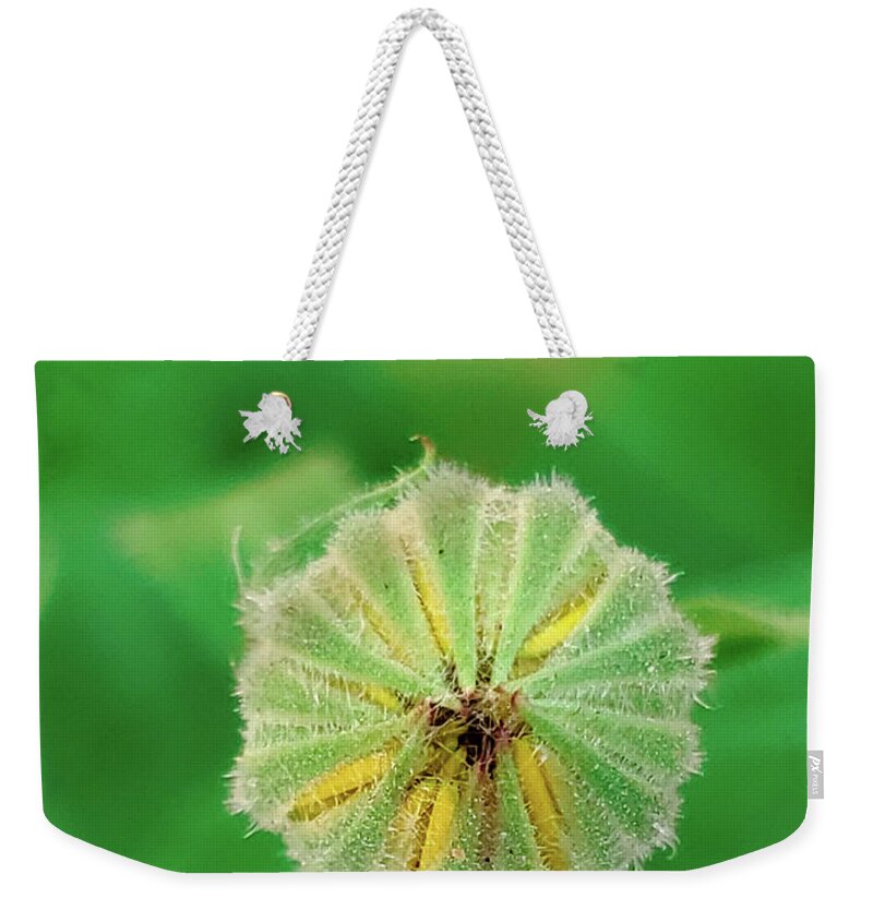 Art Weekender Tote Bag featuring the photograph Yellow Daisy Bud Macro by Joan Han