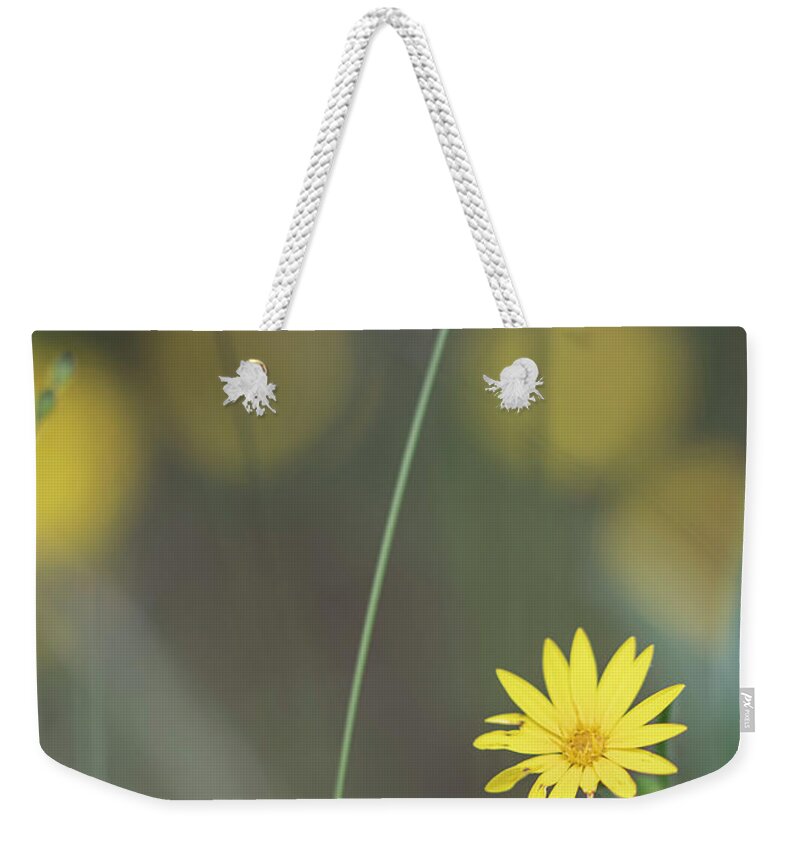 Daisy Weekender Tote Bag featuring the photograph Yellow Daisy Close-up by Karen Rispin