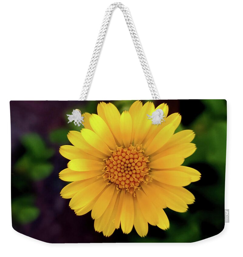 Art Weekender Tote Bag featuring the photograph Yellow Daisy I by Joan Han