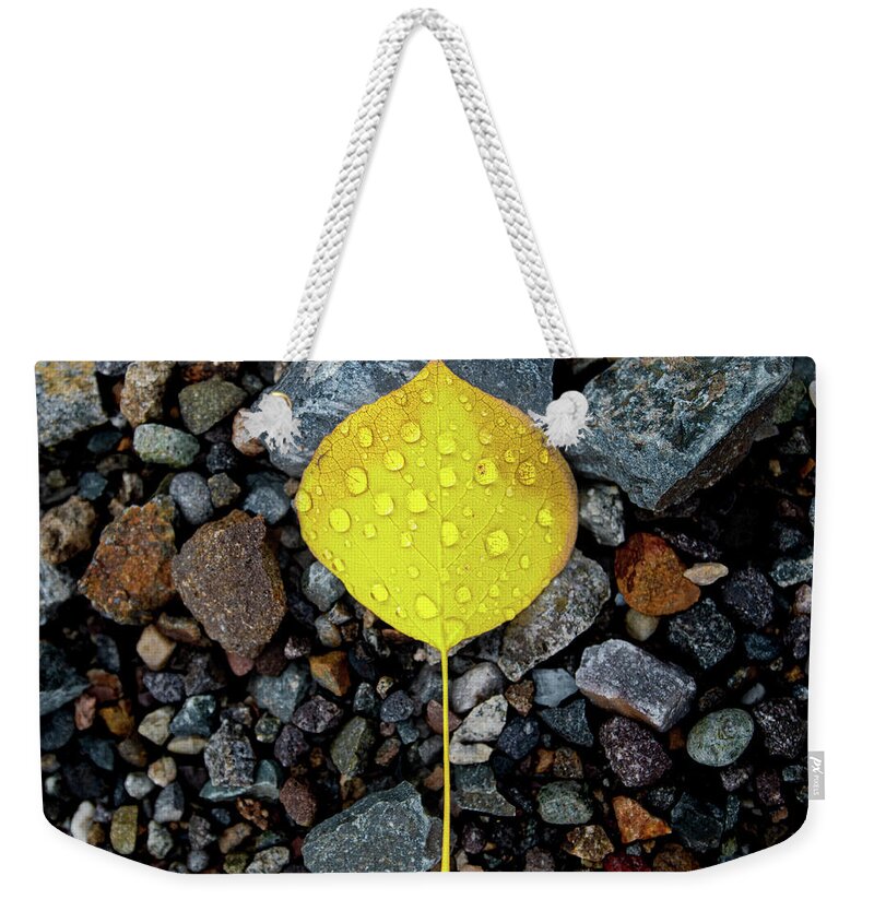Colorado Weekender Tote Bag featuring the photograph Yellow by David Downs