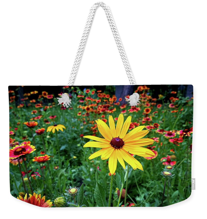 Yellow Flower Field Green Red Weekender Tote Bag featuring the photograph Yellow Flower in Field by David Morehead
