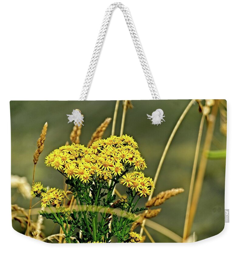 America Weekender Tote Bag featuring the photograph Yellow Flowers, Brown Stalks by David Desautel