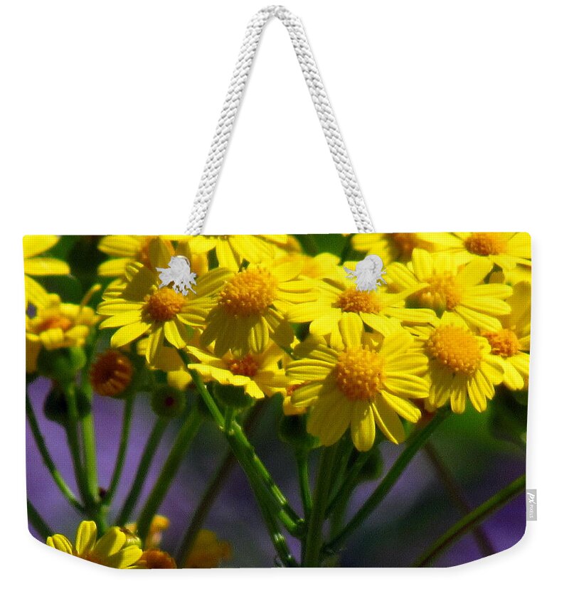 Wildflower Weekender Tote Bag featuring the photograph Yellow Icing by Amy Hosp
