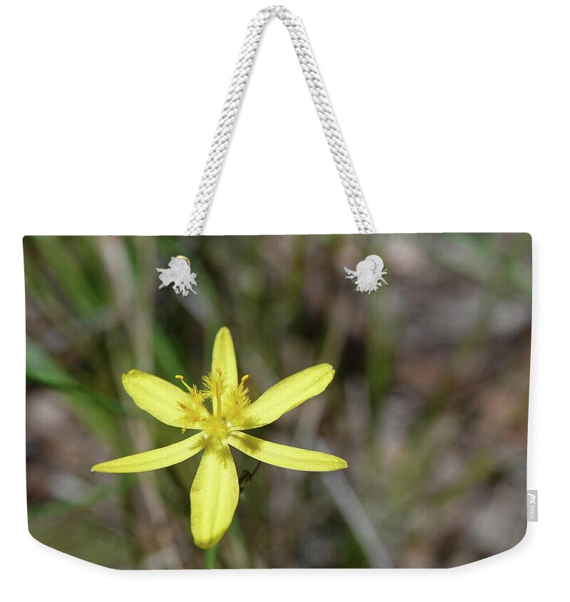 Flowers Weekender Tote Bag featuring the photograph Yellow Joy by Maryse Jansen