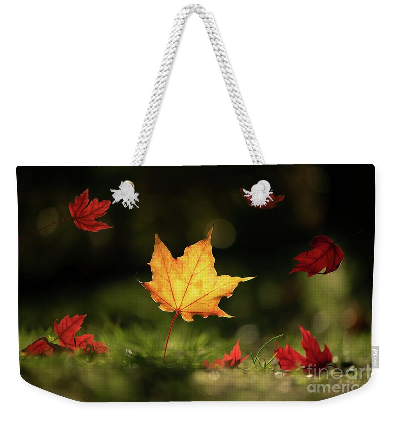 Fall Leaves Weekender Tote Bag featuring the photograph Yellow Maple Leaf by Naomi Maya