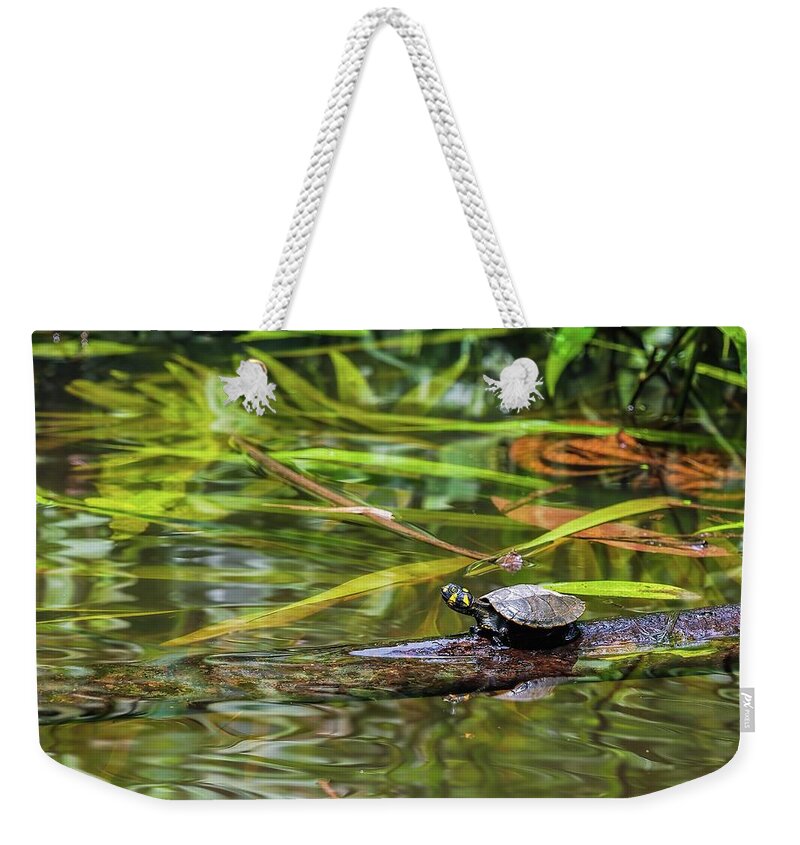 Amazon Weekender Tote Bag featuring the photograph Yellow-spotted Amazon River Turtle by Henri Leduc