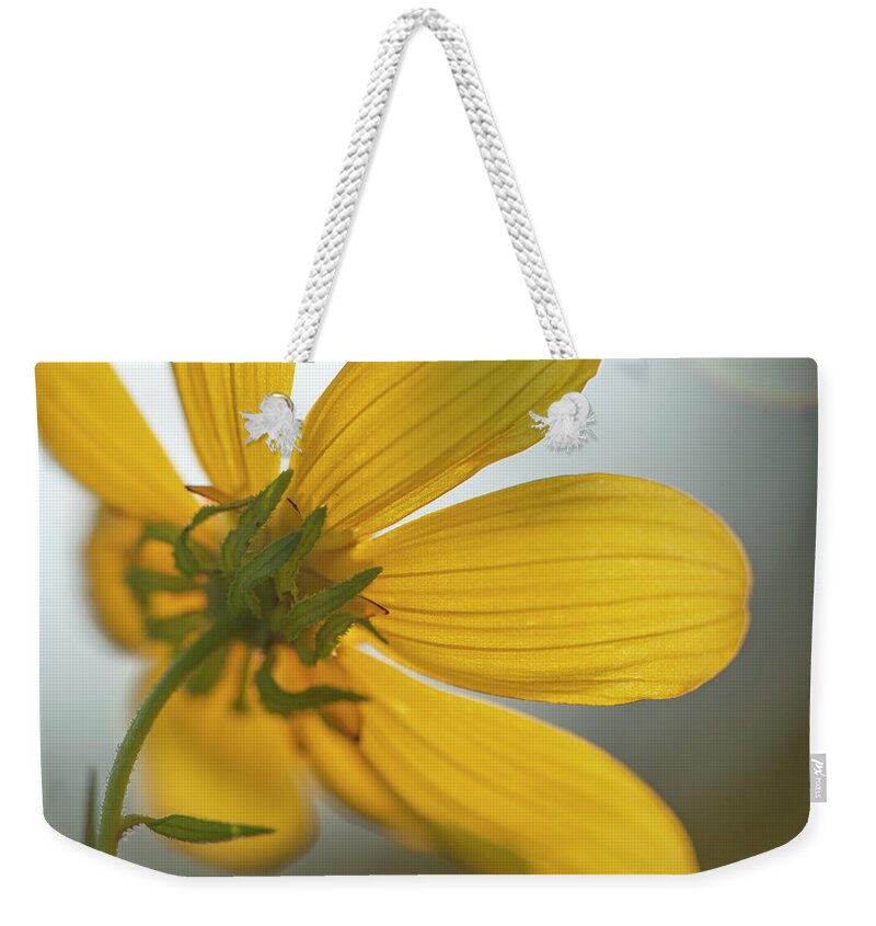 Daisy Weekender Tote Bag featuring the photograph Yellow Summer Daisy Macro by Phil And Karen Rispin