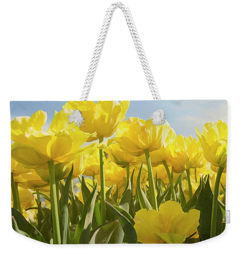 Yellow Tulips Weekender Tote Bag featuring the photograph Yellow Tulips by Steve Ladner
