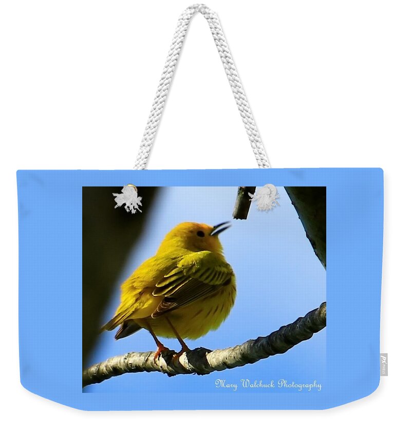 Yellow Warbler Weekender Tote Bag featuring the photograph Yellow Warbler Singing in the Spotlight by Mary Walchuck
