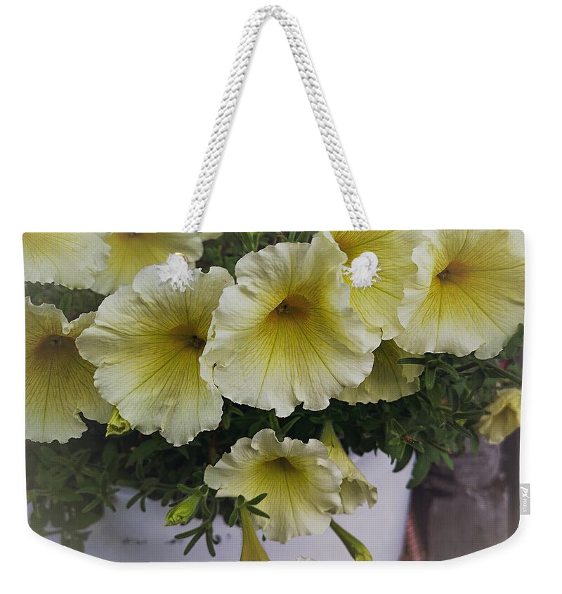 Petunias Weekender Tote Bag featuring the photograph Yellow Wave by Linda McRae