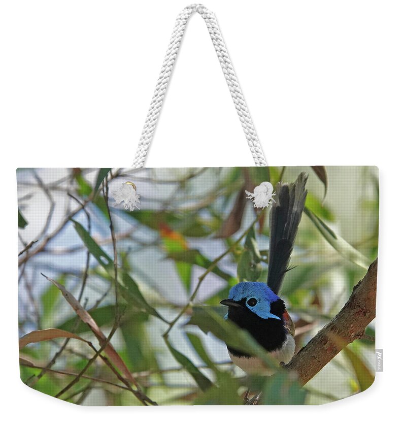 Animals Weekender Tote Bag featuring the photograph You can't hide by Maryse Jansen
