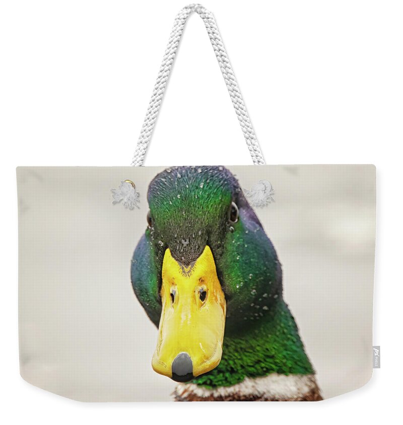 Allard Weekender Tote Bag featuring the photograph You Looking at Me by Bob Decker