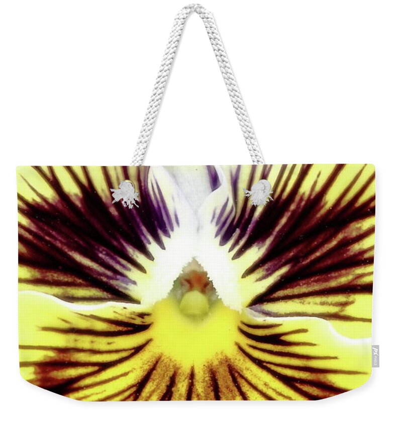 Floral Weekender Tote Bag featuring the photograph You Pansy by Lens Art Photography By Larry Trager