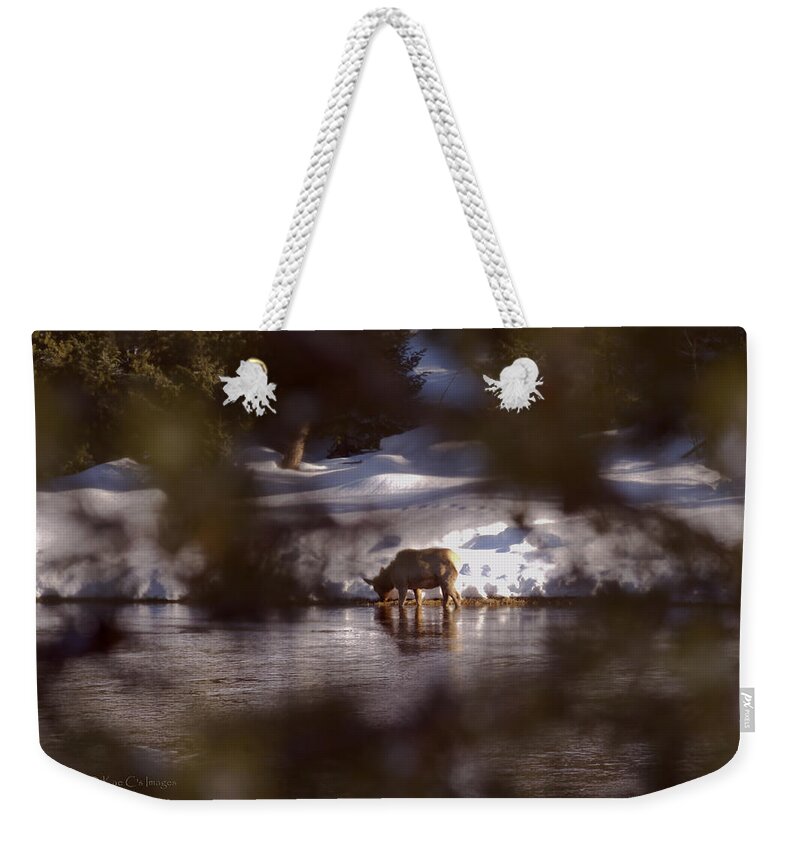 Elk Weekender Tote Bag featuring the photograph Young Elk Cow in River by Kae Cheatham