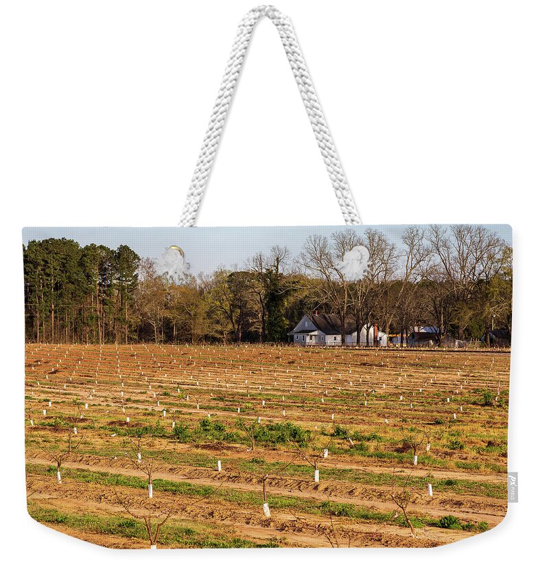 2021 Weekender Tote Bag featuring the photograph Young Peach Trees in 2021 by Charles Hite