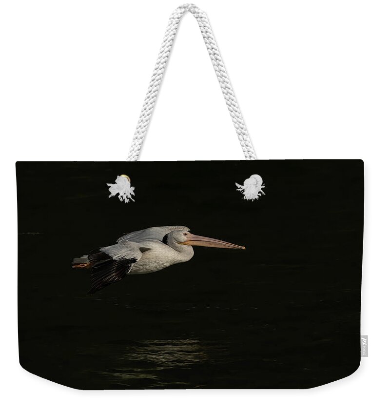 American White Pelican Weekender Tote Bag featuring the photograph Young Pelican 2016-8 by Thomas Young