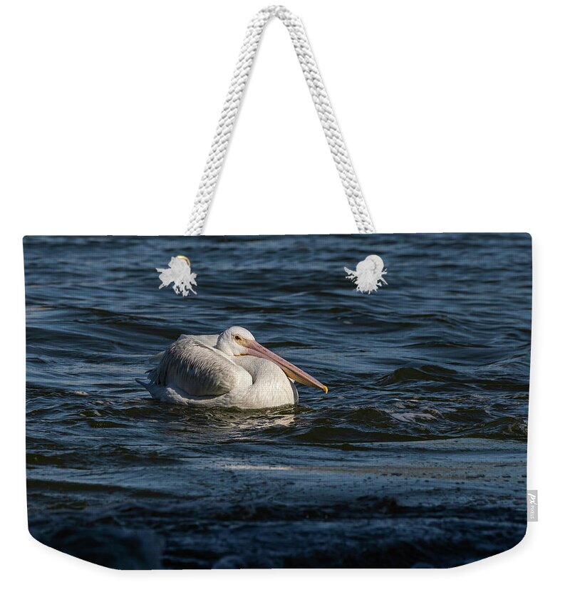 American White Pelican Weekender Tote Bag featuring the photograph Young Pelican 2016-9 by Thomas Young