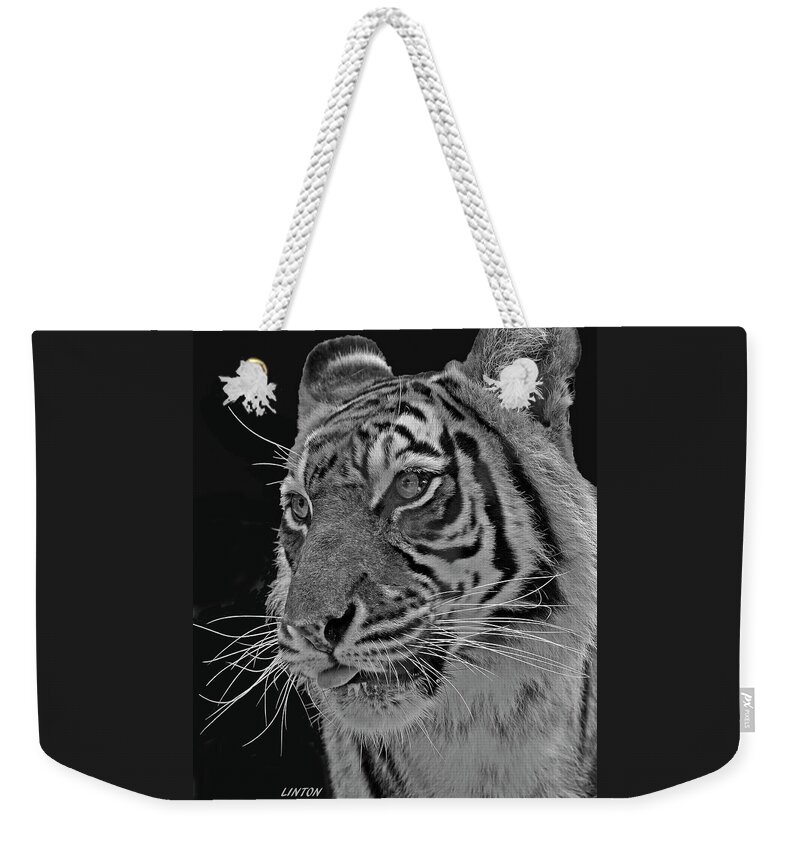 Tiger Weekender Tote Bag featuring the photograph Young Tiger by Larry Linton