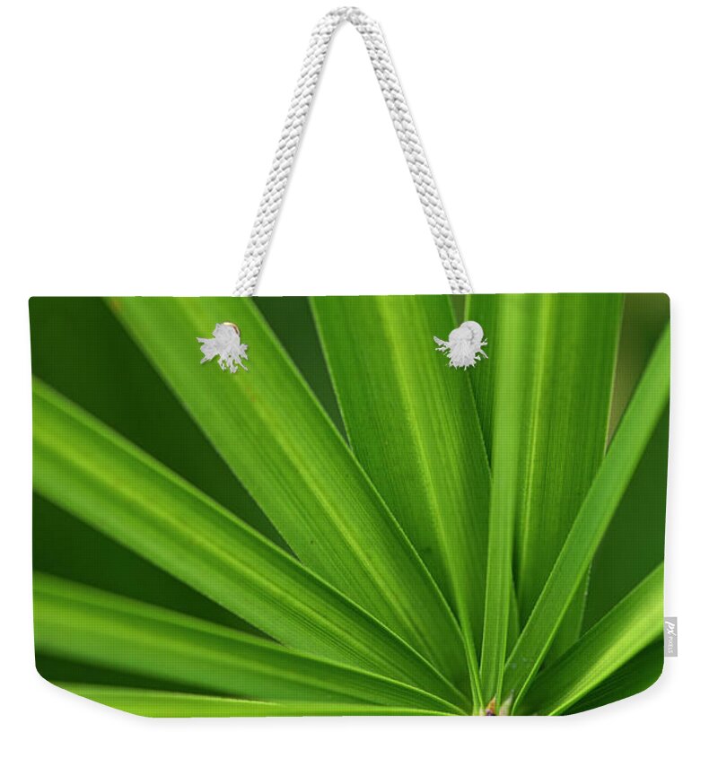 Yucca Weekender Tote Bag featuring the photograph Yucca abstract by Karen Rispin