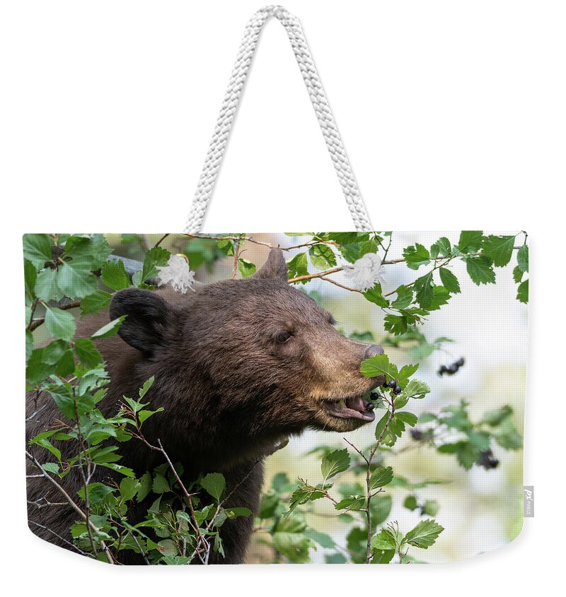 Bears Weekender Tote Bag featuring the photograph Yummy mouthful by Mary Hone