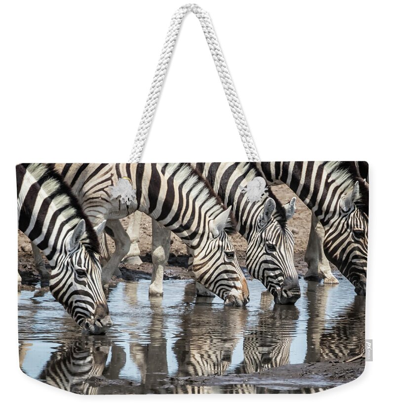 Plains Zebra Weekender Tote Bag featuring the photograph Zebras at Chudob Waterhole by Belinda Greb