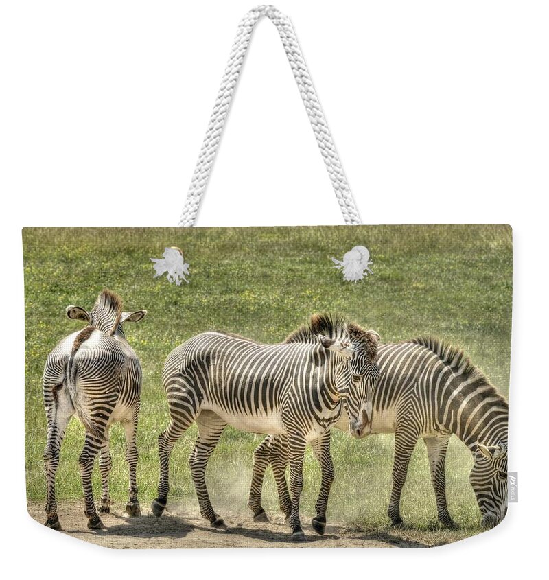 Zebra Weekender Tote Bag featuring the photograph Zebras by David Armstrong
