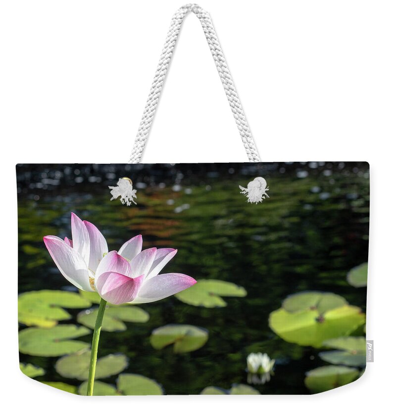Zen Beauty Weekender Tote Bag featuring the photograph Zen Beauty by Patty Colabuono