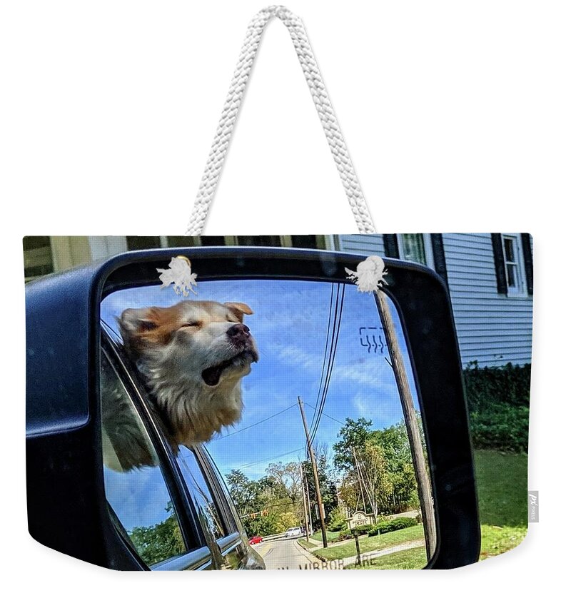  Weekender Tote Bag featuring the photograph Zen Doggo by Brad Nellis