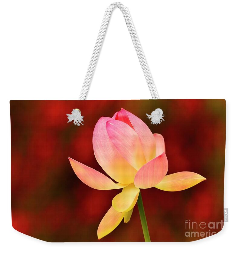 Flower Weekender Tote Bag featuring the photograph Impressions by John F Tsumas