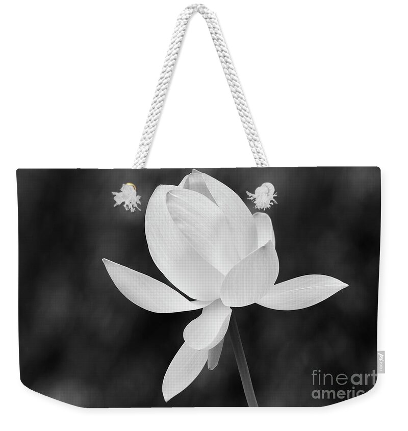 Flower Weekender Tote Bag featuring the photograph Zen Morning by John F Tsumas