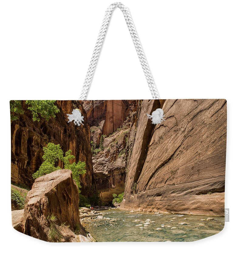 Zion Weekender Tote Bag featuring the photograph Zion narrows by Dmdcreative Photography