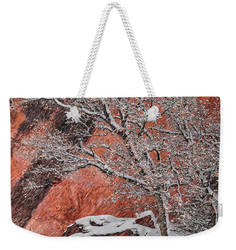 Utah Weekender Tote Bag featuring the photograph Zion Winter 1 by Robert Fawcett