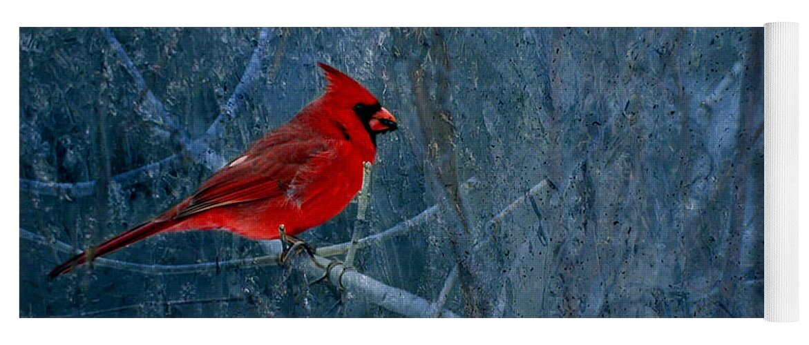 Male Northern Cardinal Yoga Mat featuring the photograph Northern Cardinal by Thomas Young