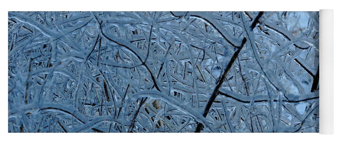 Ice Yoga Mat featuring the photograph Vegetation After Ice Storm by Daniel Reed