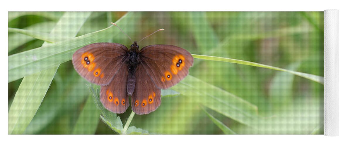 Bulgaria Yoga Mat featuring the photograph 03 Woodland Ringlet Butterfly by Jivko Nakev