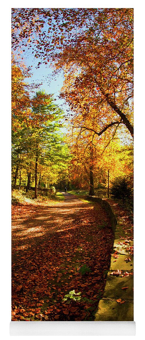 Leaf Yoga Mat featuring the photograph A Path Covered With Fallen Leaves #1 by John Short