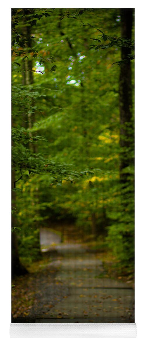 Woods Yoga Mat featuring the photograph A Walk In The Woods #1 by Shane Holsclaw