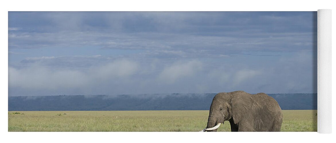 Flpa Yoga Mat featuring the photograph African Elephant Bull And Cattle Egrets #1 by Elliott Neep