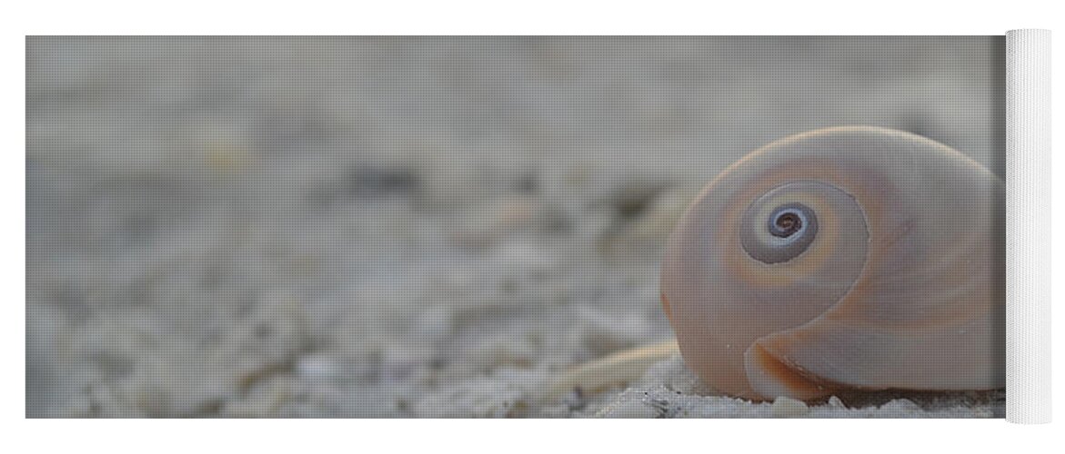 Seashell Yoga Mat featuring the photograph Always... #1 by Melanie Moraga