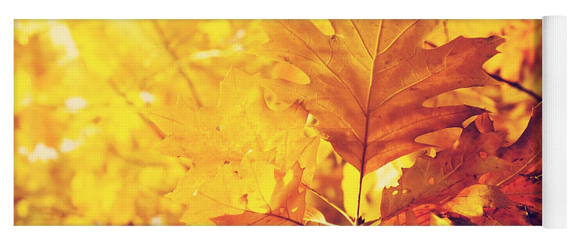 Autumn Yoga Mat featuring the photograph Autumn Leaves #3 by Jelena Jovanovic
