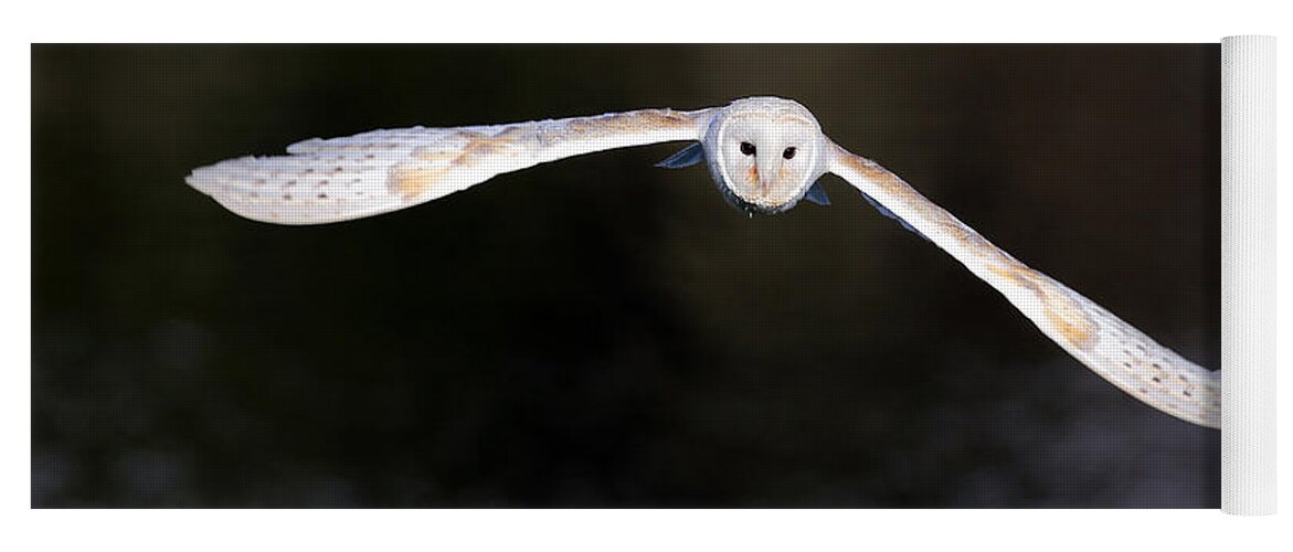  Animal Yoga Mat featuring the photograph Barn Owl #2 by Grant Glendinning