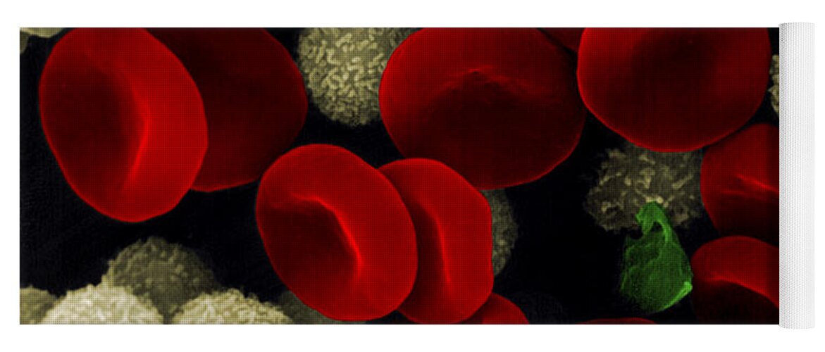 Leukocyte Yoga Mat featuring the photograph Blood Cells #1 by Stem Jems